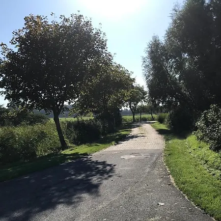 Koch Og Adult Only *